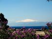 Blick auf den Etna vom Spot